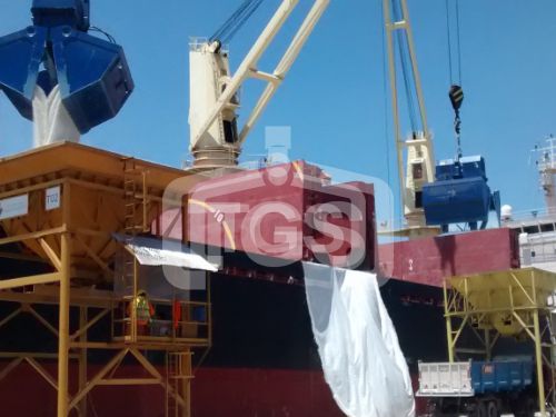 Cucharas Diesel Cucharas Diesel